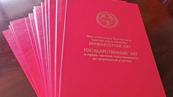 Мэр Бишкека поручил начать массовую выдачу «красных книг»