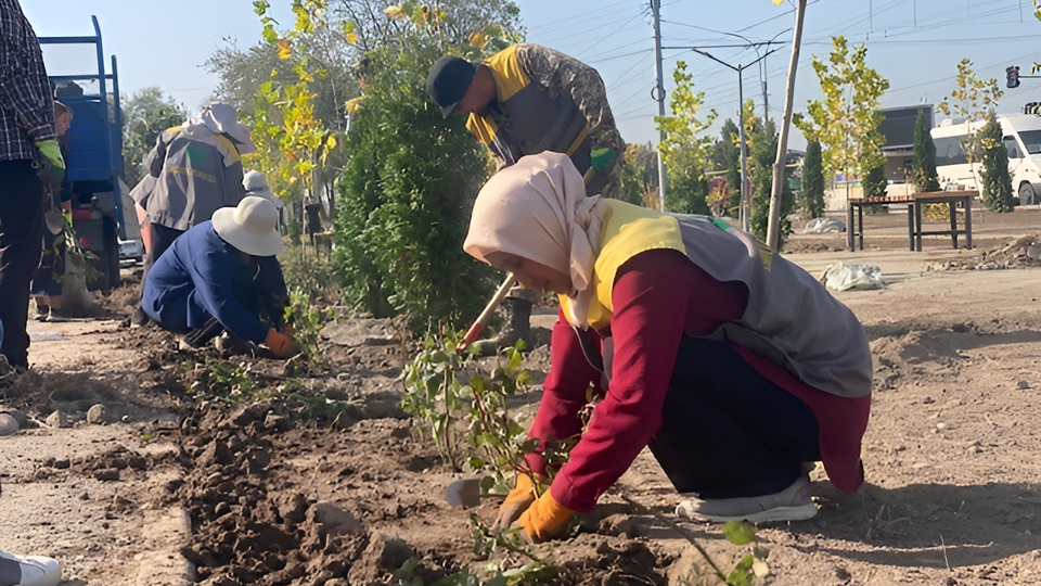 «Бишкекзеленхоз» высадил 2 тысячи роз по Дэн Сяопина